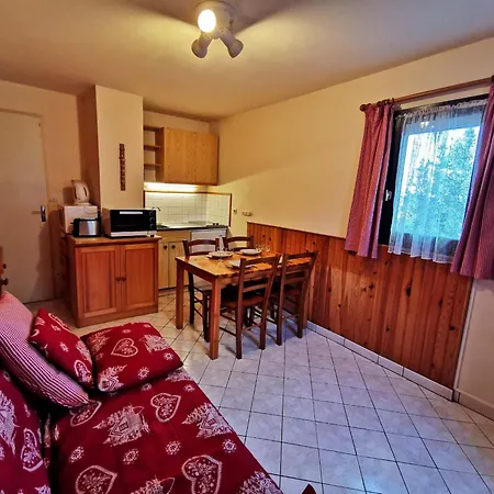 Pieds Pistes, Proche Ecole De Ski, Adrets-prapoutel - Fr-1-771-83 Appartement
